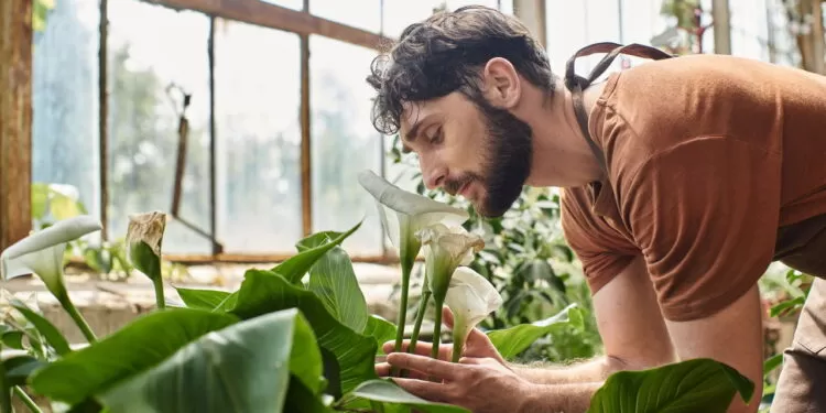 Como a biofilia sensorial pode melhorar sua saúde mental e emocional.