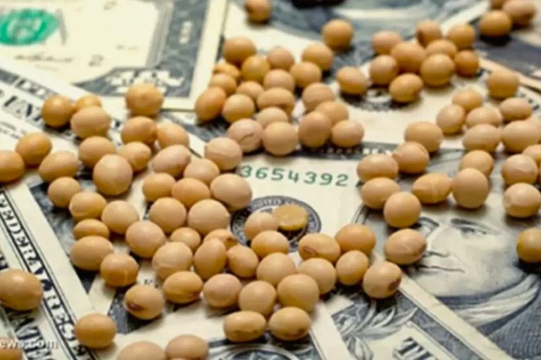 Por Que a Guerra Comercial dos EUA Favorece as Vendas de Soja do Brasil.