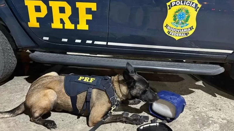 PRF apreende maconha escondida dentro de garrafa térmica em ônibus de turismo; saiba detalhes.