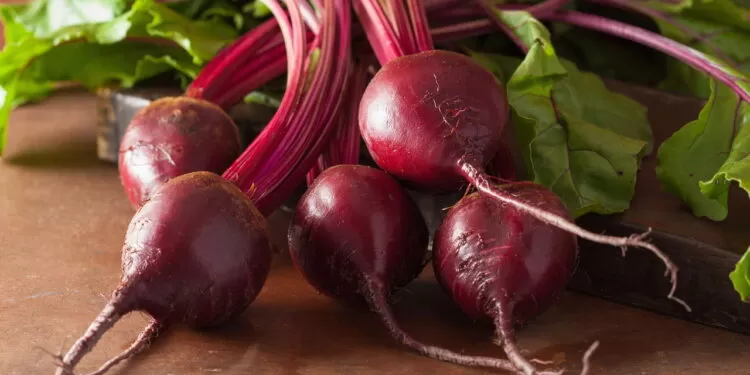 Beterraba ajuda na digestão e reduz a pressão arterial? Veja seus benefícios.