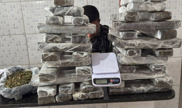 Polícia prende dois homens por tráfico e apreende 35kg de maconha em Caruaru.