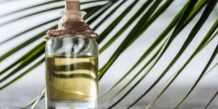 Como o óleo de palma pode melhorar sua saúde e ser usado na cozinha.