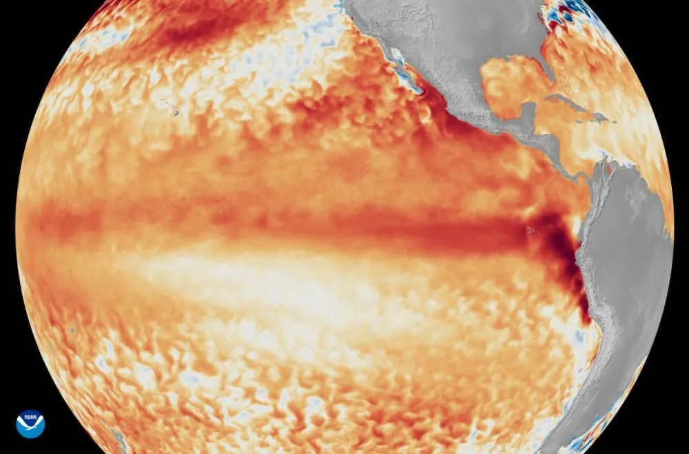Seca e calor: entenda efeitos do El Niño, que pode afetar Pernambuco em breve