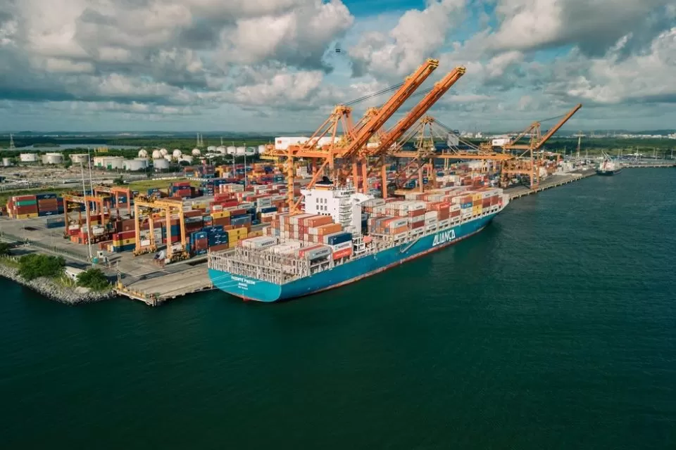 MPF arquiva inquérito sobre relação entre Porto de Suape e ataques de tubarões em Pernambuco.