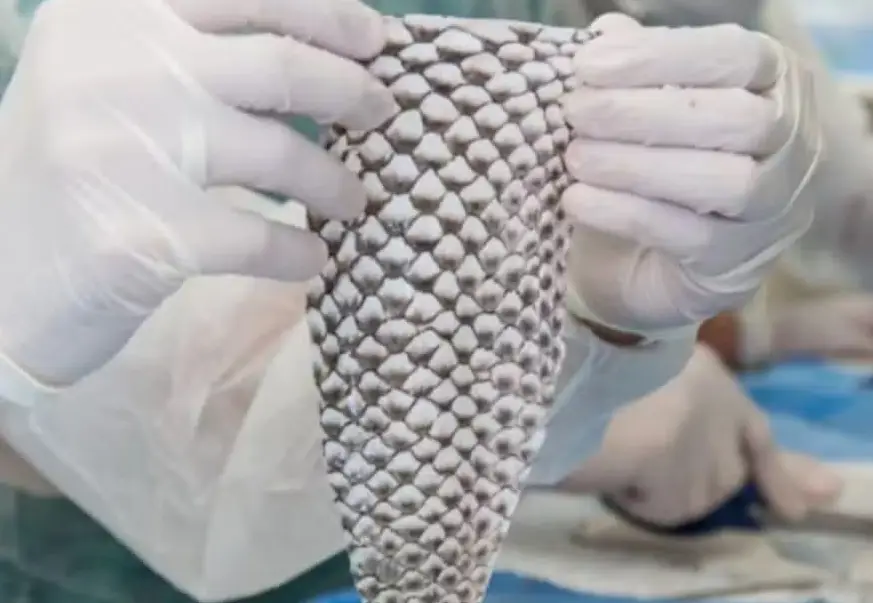 Brasil terá primeira fábrica do mundo de pele de tilápia para tratar queimadura