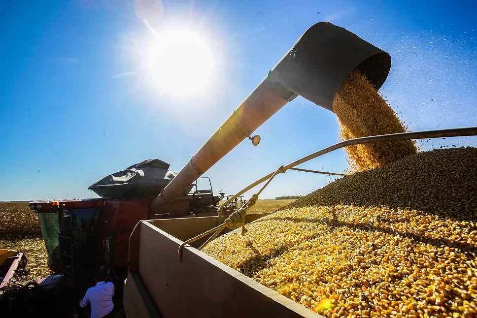 Conab prevê safra de grãos de mais de 328 milhões de toneladas.