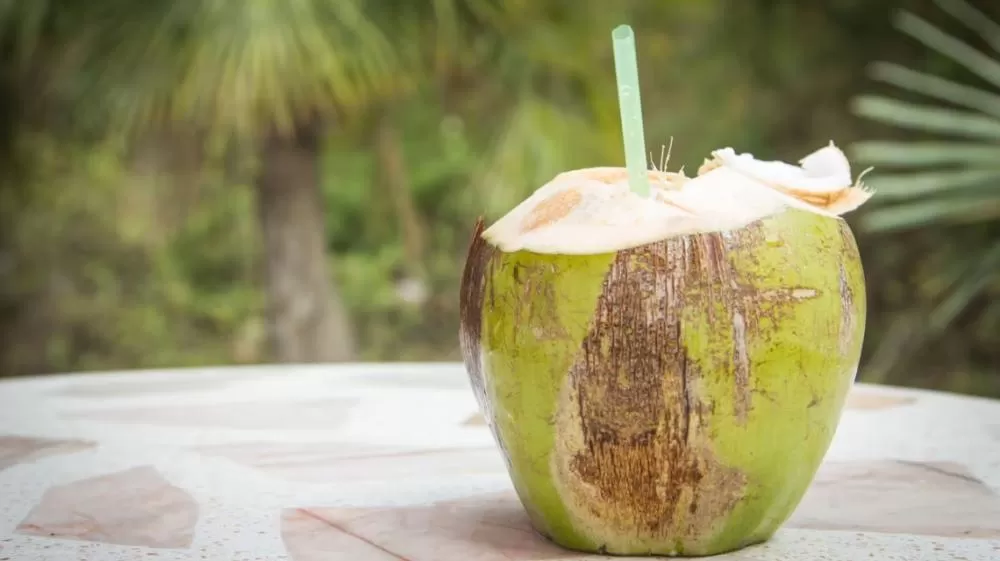 Homem morre após beber água de coco estragada.