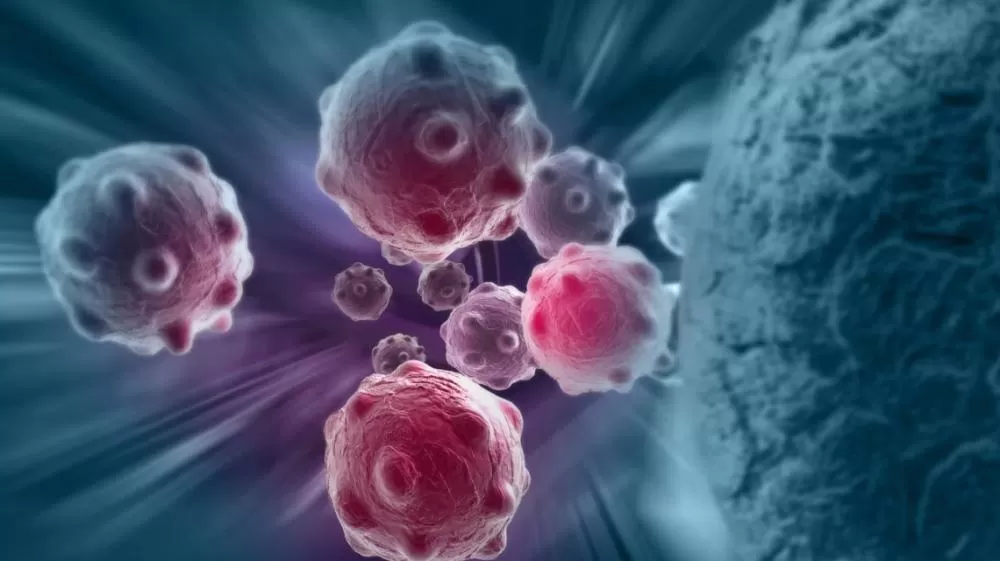 Alimentos que ajudam a prevenir o câncer segundo a ciência.