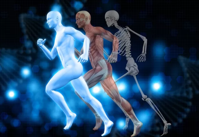 Biocinética 3D antecipa lesões e muda o rumo da medicina esportiva.