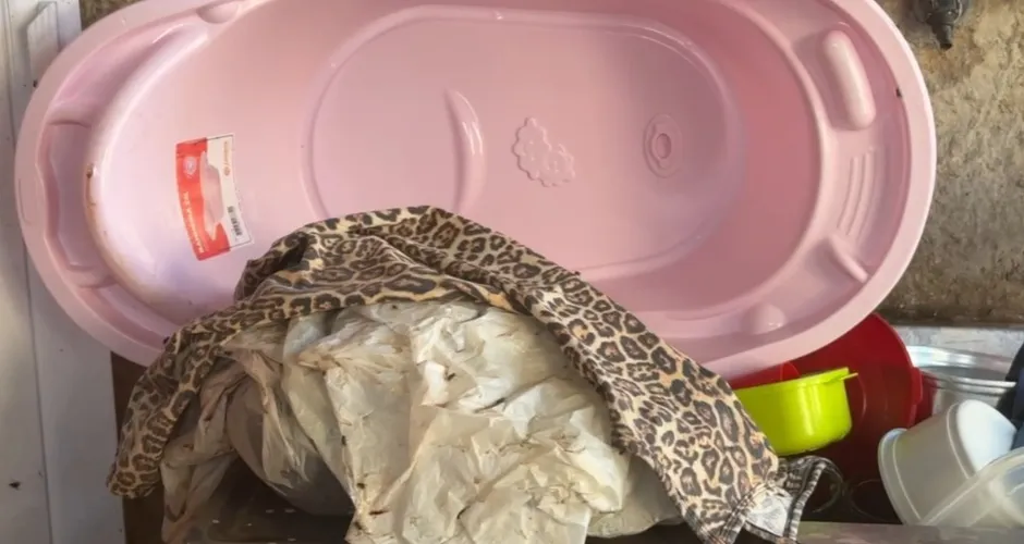 Corpo da bebê Ana Beatriz estava dentro de sacola plástica em armário; polícia investiga o caso.