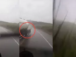 Vídeo: Motorista grava caminhão despencando em barranco de MG.