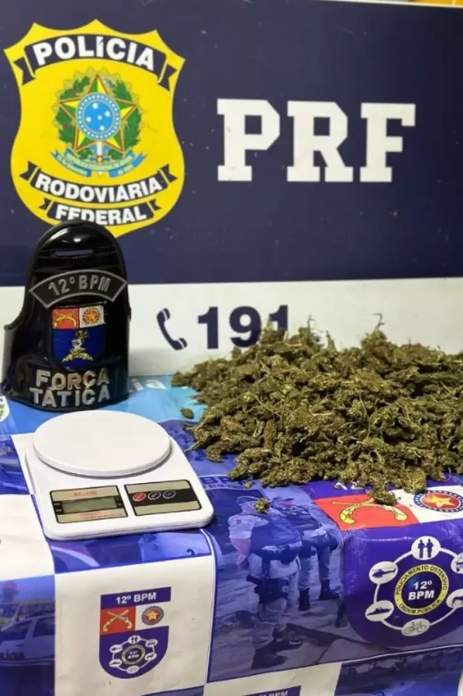 Maconha interceptada em ônibus interestadual foi avaliada em R$ 20 mil, aponta PM.