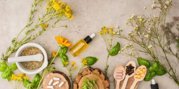 As plantas que podem melhorar sua saúde de forma natural.