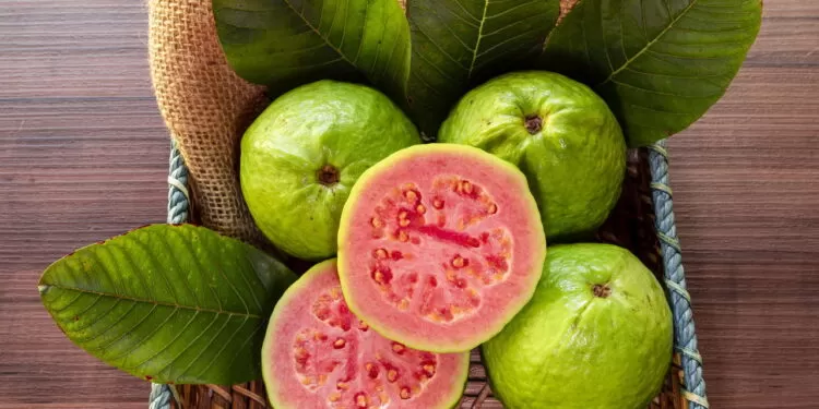 Goiaba, como essa fruta pode melhorar o descanso e a saúde.