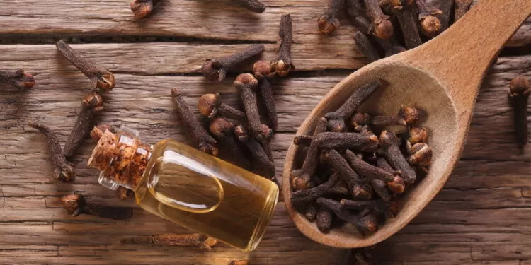 Entenda como o cravo pode ajudar a reduzir riscos de doenças cardíacas.