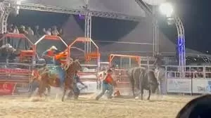 Peão de Hortolândia segue em observação após acidente com touro.