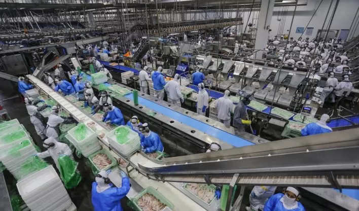 Exportação de frango brasileiro está suspensa para 9 destinos após caso de gripe aviária.