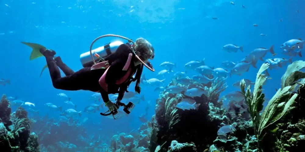O destino mais incrível para mergulhadores está no Brasil.