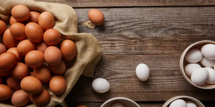 Você sabia que os ovos podem ser o alimento mais poderoso para sua saúde?.