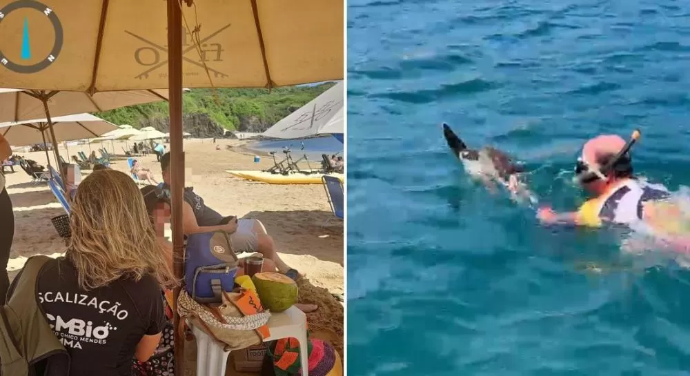 Fernando de Noronha: turista é autuado por tocar e perseguir tartaruga marinha na Praia do Porto.
