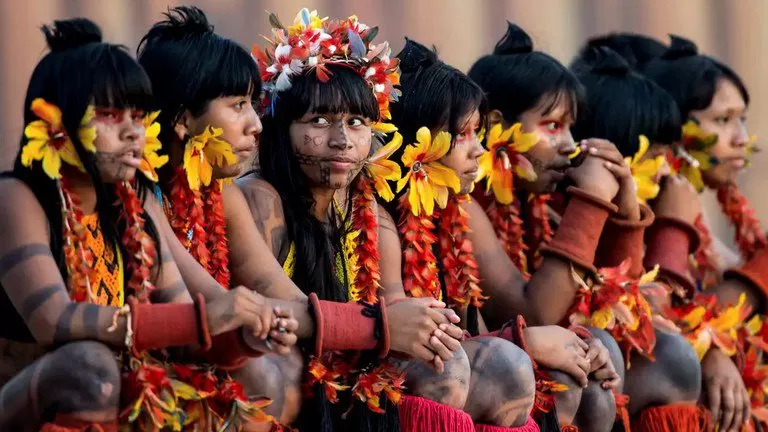 AGU e Funai garantem posse indígena sobre área em demarcação em Santa Catarina.