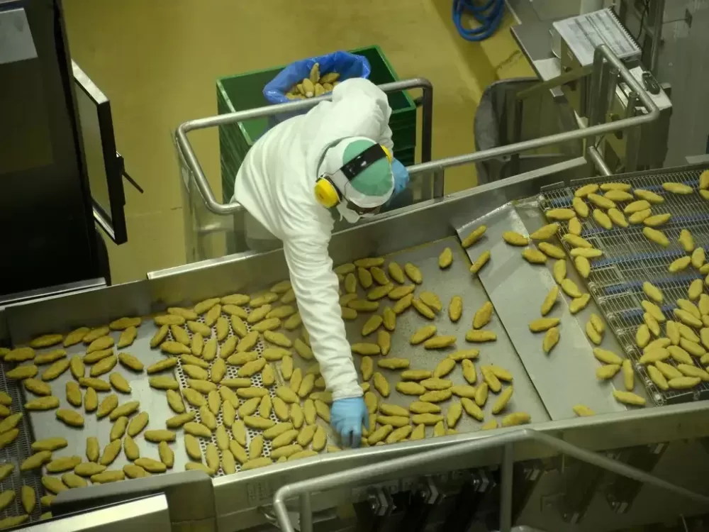 Produção de alimentos lidera setor industrial no Brasil; veja ranking.