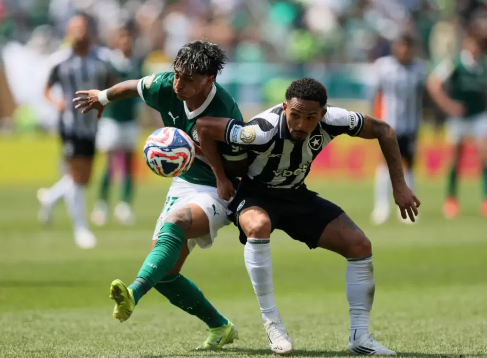 Palmeiras x Botafogo faz Globo quebrar recorde de ibope de sete anos.