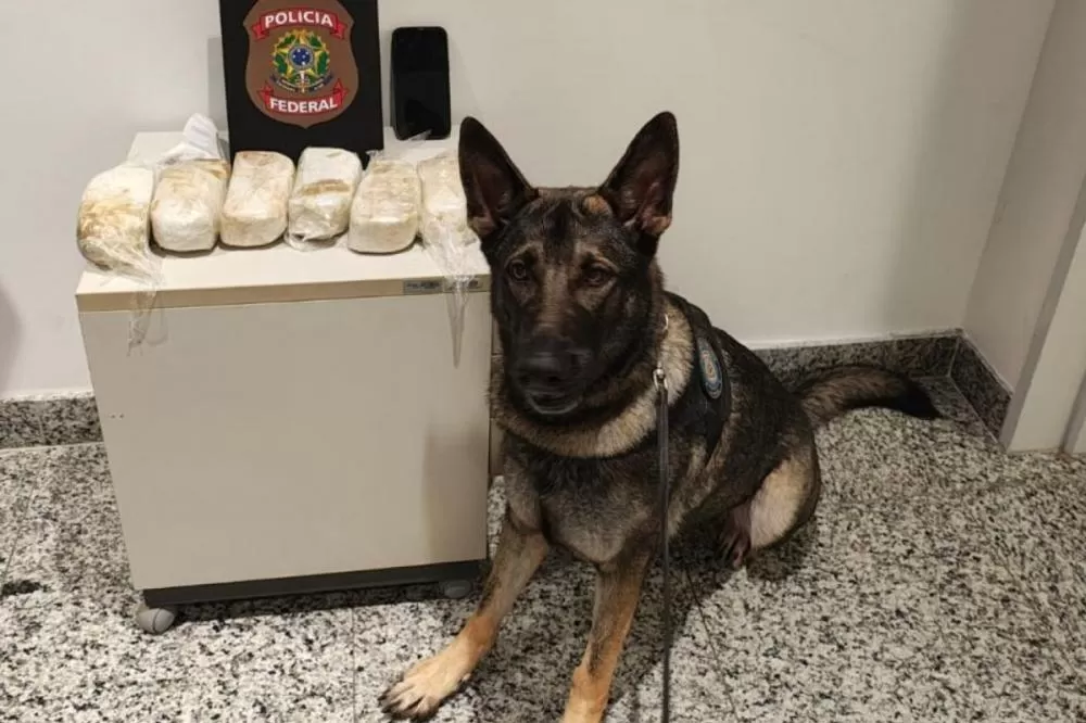 Com ajuda de cão farejador, PF prende homem com pasta base de cocaína no aeroporto.