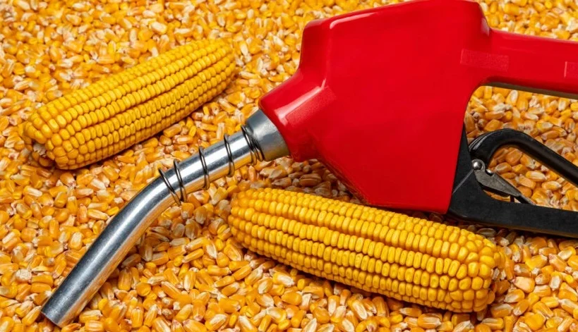 BRAZIL JOURNAL: Inpasa, gigante do biocombustível, monta posição na Vibra.