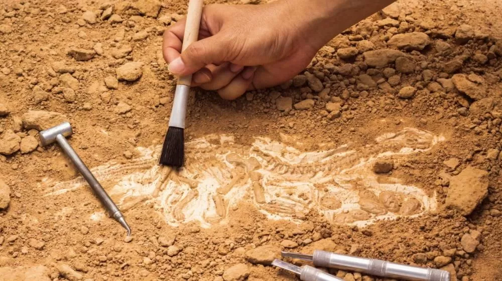 Cidade Perdida de 3,8 mil anos é descoberta no Peru