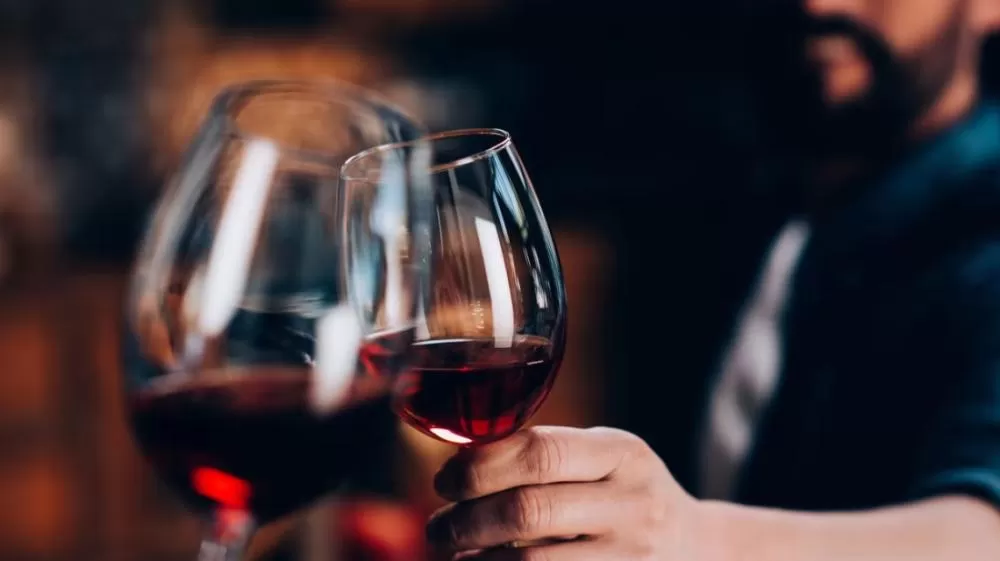 Uma taça de vinho por dia e veja sua saúde decolar como nunca