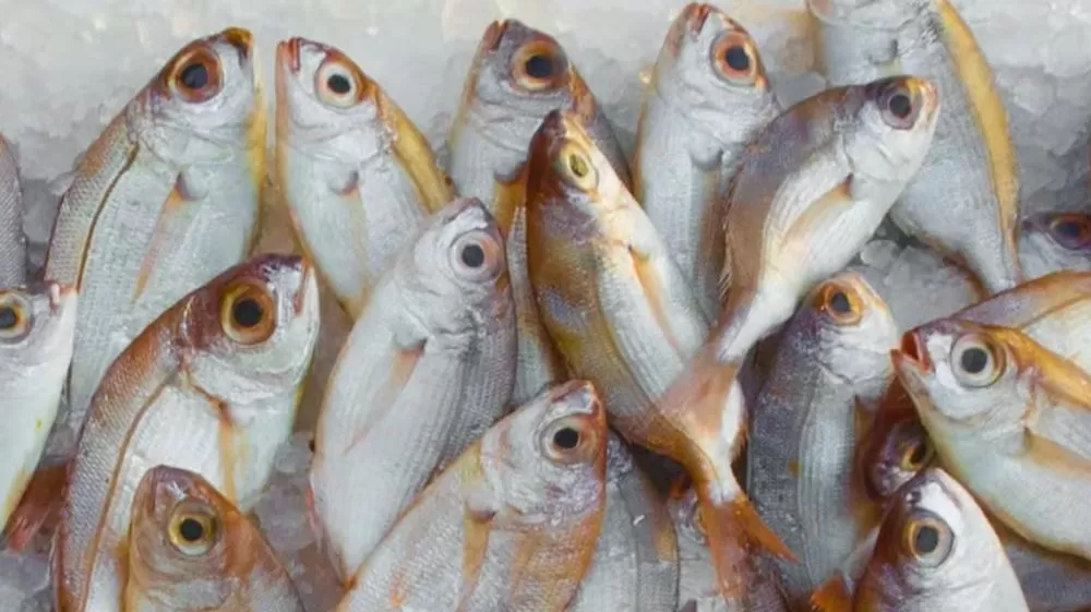 Mesmo antes de entrar em vigor, tarifaço de Trump já atingiu produtos no Brasil; saiba quais