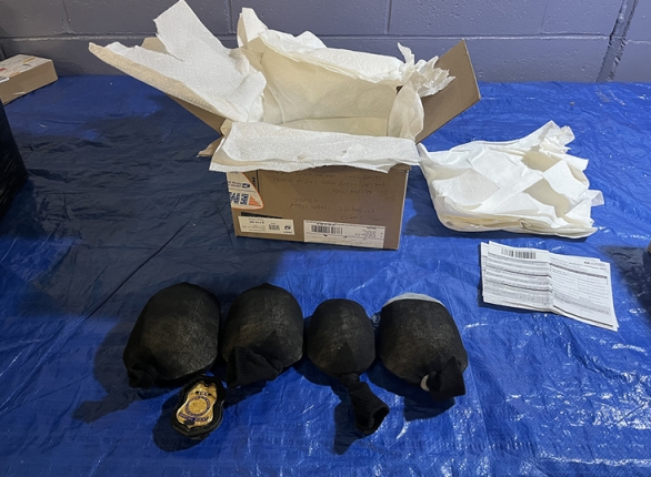 Chinês é preso após ser pego contrabandeando 850 tartarugas dentro de meias nos EUA