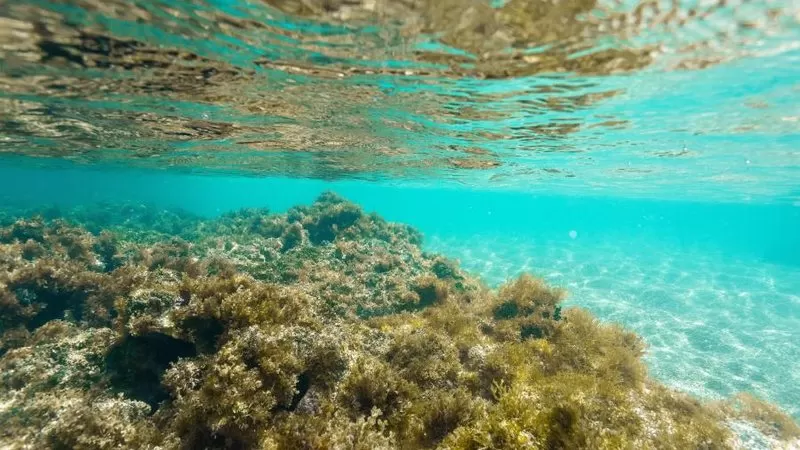 Justiça Federal suspende turismo na Lagoa Azul, em Maragogi