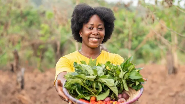 Governo lança hoje pacote de R$ 30 bi contra tarifaço de Trump; veja o que esperar