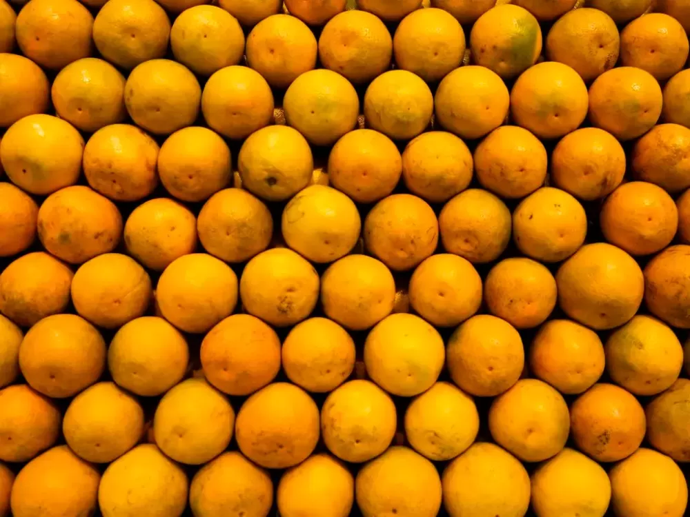 Tarifa de 50% atinge subprodutos do suco de laranja e prejuízo alcança R$ 1,54 bilhão