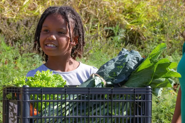 Imposto zero para alimentos da cesta básica vai aliviar bolso dos mais pobres.