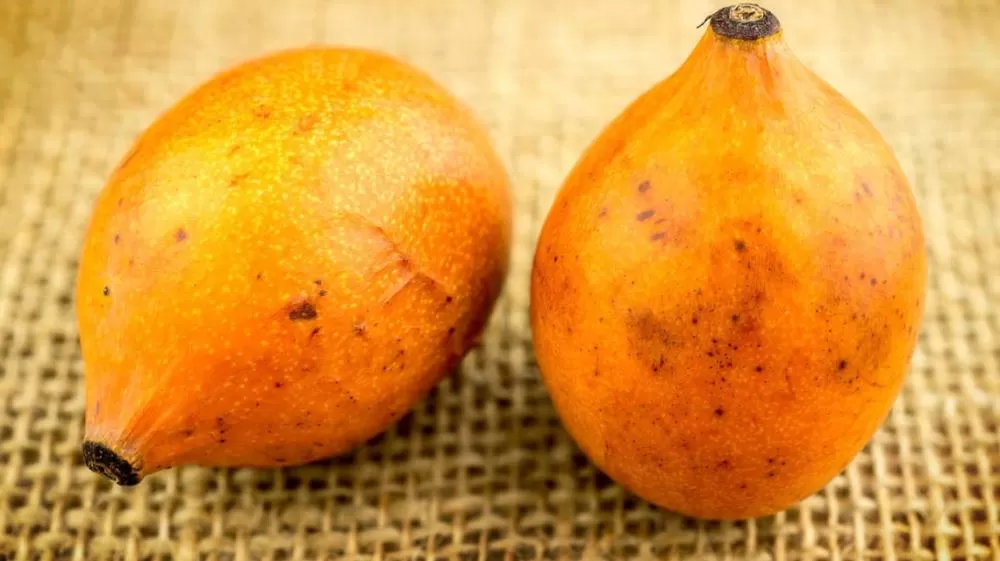 Essa fruta exótica fortalece o coração e ainda ajuda na cicatrização da pele