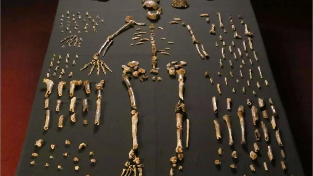 Homo naledi: revisão de estudo reacende debate sobre sepultamentos