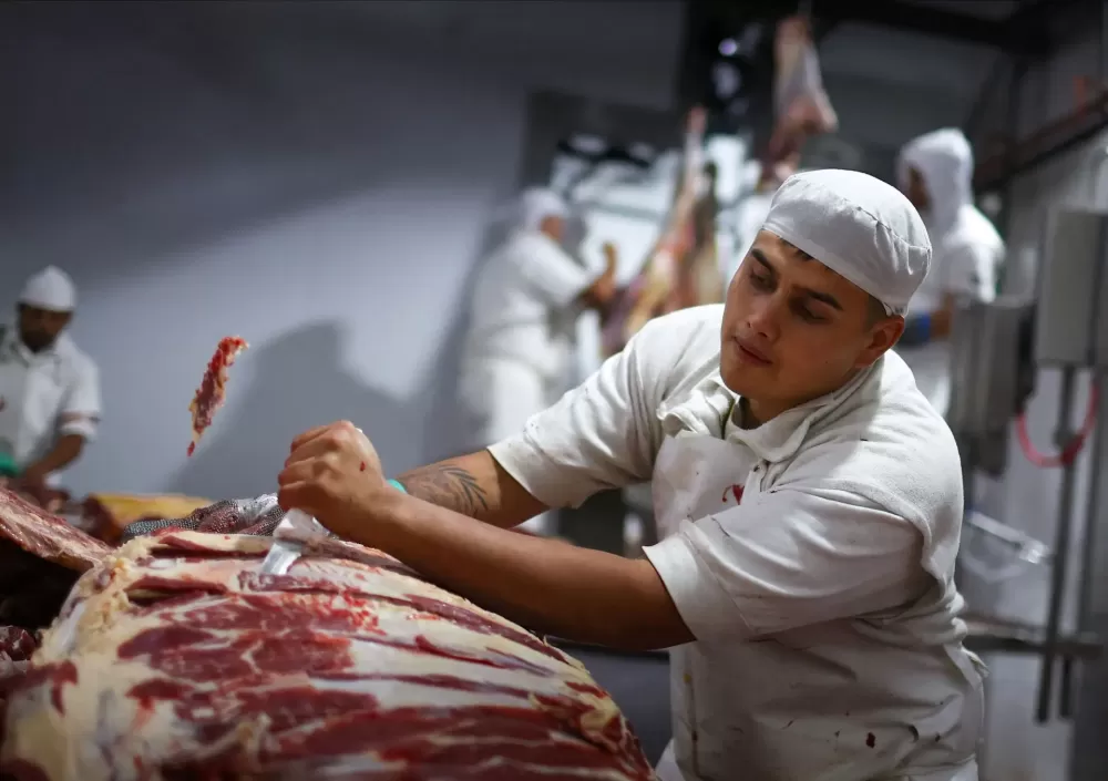 Setor de carne bovina do Brasil realoca embarques e crescerá até 14%, diz Abiec