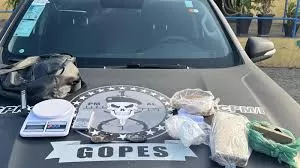 'Guarda-roupa' de traficante é presa com drogas em Alagoas; veja apreensões