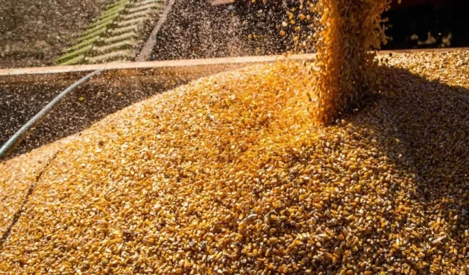 Setores do agro articulam flexibilizações à Moratória da Soja