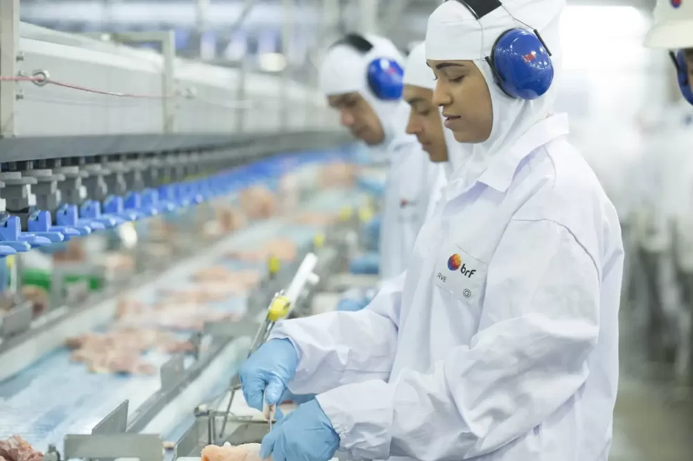 Exportação de carne suína do Brasil é recorde em setembro; frango também ganha força