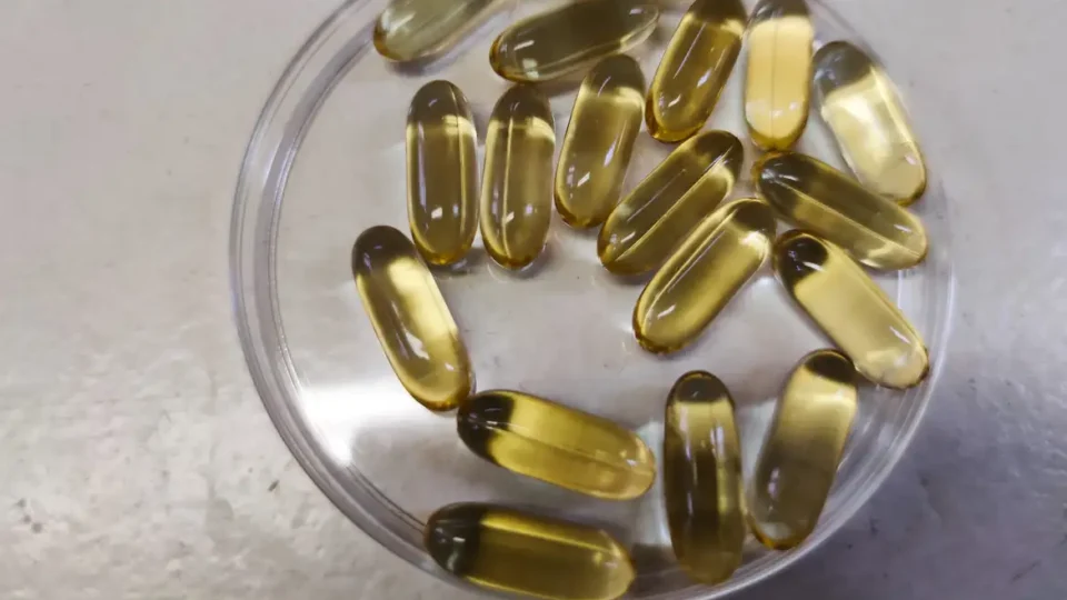 Estudo aponta que Ômega-3 pode retardar envelhecimento biológico em humanos.