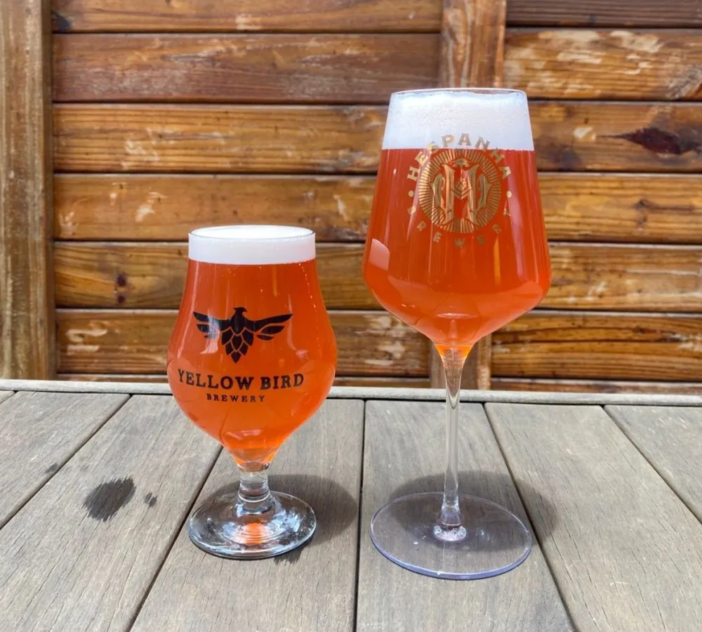 Melhor cerveja do Brasil é do Paraná e tem polpa de amora e morango