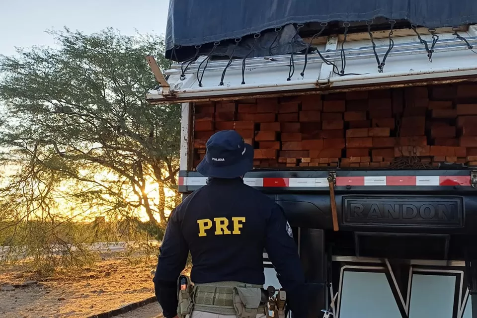 PRF apreende madeira irregular transportada em oito caminhões no Sertão de Pernambuco