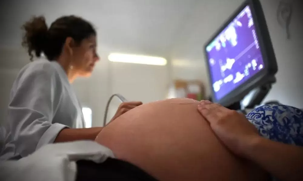 Casal promove turismo de parto para que grávidas russas fugidas da guerra tenham filhos no Recife