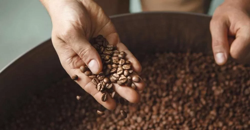 O preço do café vai diminuir? Ciência e Economia explicam.