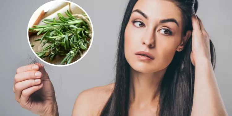 Como usar a água de alecrim para evitar a queda e estimular o crescimento capilar de forma natural