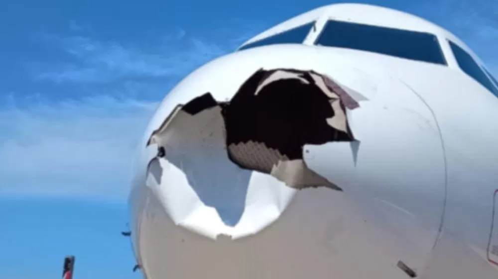 Avião da Latam bate em pássaro e voo é cancelado. Veja como ficou-RJ.